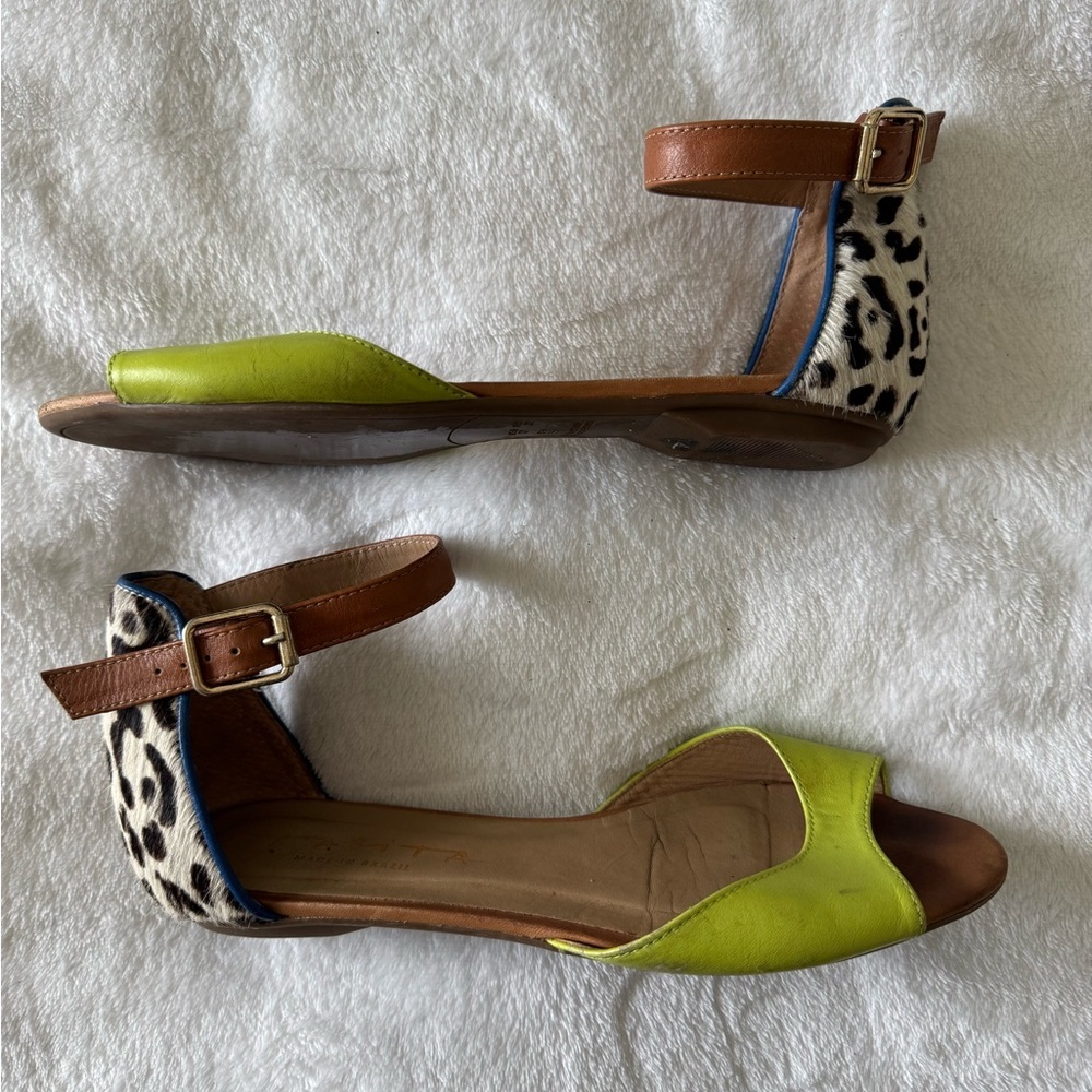 tabita brazil flats with black and white leopard calf hair and pear blue accents